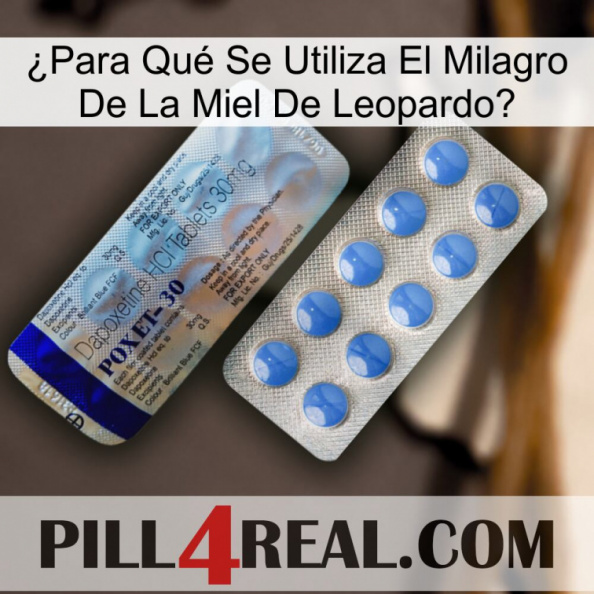 ¿Para Qué Se Utiliza El Milagro De La Miel De Leopardo 39.jpg